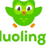 Duolingo anuncia cursos de nível B2 gratuitos