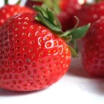 Pressão do agro funciona, e governo suspende ‘Portaria do Morango’