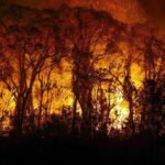 Inpe registra 540 focos de incêndio na Amazônia em 48 horas